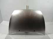 Motorhaube Ford Ka (RBT) 1087913