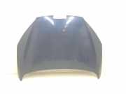 Motorhaube Peugeot 407 SW () 7901K7