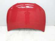 Motorhaube Sonstiger Hersteller Sonstiges Modell () 6J0823031