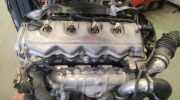 Motor ohne Anbauteile (Diesel) Nissan Primera (P12) YD22