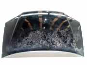 Motorhaube Sonstiger Hersteller Sonstiges Modell () 46828725