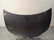 Motorhaube Citroen C4 (L) 7901L1