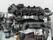 Motor ohne Anbauteile (Diesel) Ford Focus II (DA, DP, HCP) G8DB