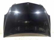 Motorhaube Mercedes-Benz R-Klasse (W251) A2518800057