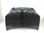 Motorhaube Hyundai Tucson I (JM) 664002E020