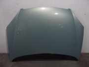 Motorhaube Citroen C5 I (DC) 7901H9