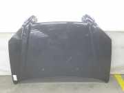 Motorhaube Hyundai Tucson I (JM) 664002E020