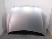 Motorhaube Citroen C5 I (DC) 7901H9