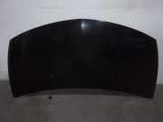 Motorhaube Renault Clio III (BR0/1, CR0/1) 7751476113