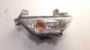 Blinker links vorne Sonstiger Hersteller Sonstiges Modell () B45A51360