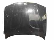 Motorhaube BMW X3 (E83) 41003449411