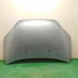 Motorhaube Ford Fusion (JU)