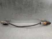 Sensor Fiat Punto (199) 55222781