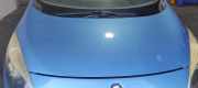 Motorhaube Renault Scenic III (JZ) 651008369R AZUL TERPB