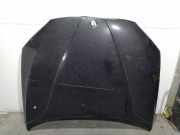 Motorhaube Sonstiger Hersteller Sonstiges Modell () 41002993151