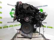 Motor ohne Anbauteile (Diesel) Mercedes-Benz E-Klasse (W210) 613961