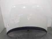 Motorhaube Fiat Grande Punto (199) 51701140