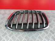 Kühlergrill BMW X1 (F48) 7354823