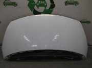 Motorhaube Renault Espace IV (K) 651000267R