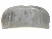 Motorhaube Sonstiger Hersteller Sonstiges Modell () 651224338R