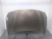 Motorhaube Renault Fluence (L3) 651002244R