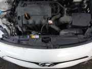 Frontblech Hyundai i30 II CW (GD)