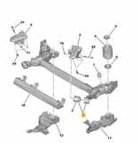 Achse hinten Citroen C-Elysee (DD) 1608396680