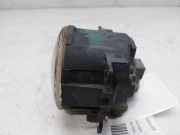 Nebelscheinwerfer rechts Nissan Pathfinder III (R51) 89210094