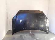 Motorhaube Sonstiger Hersteller Sonstiges Modell () 664001F010