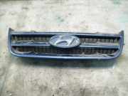 Kühlergrill Hyundai Matrix (FC) 8636117010