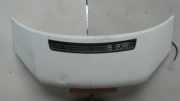 Motorhaube Ford Transit Pritsche (F**6)