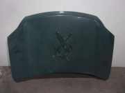 Motorhaube Sonstiger Hersteller Sonstiges Modell () F5100JG0MM