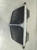 Kühlergrill Lancia Phedra (179) 1489516077