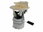 Kraftstoffpumpe Citroen C4 II Picasso () 9800248680