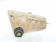 Wasserkasten für Kühler Renault Kangoo II - Grand Kangoo (KW0) 7701478318