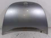 Motorhaube VW New Beetle (9C) 1C0823031L