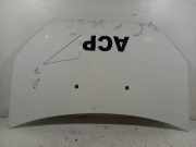 Motorhaube Fiat Doblo Kasten (223) 51841326