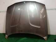 Motorhaube BMW X3 (F25) SIN