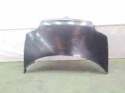 Motorhaube Fiat Ulysse (179) 9467022487