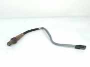 Sensor Renault Clio III (BR0/1, CR0/1) 0258006971