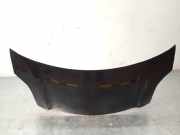 Motorhaube Toyota Yaris Liftback (P9) 533010D080