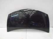 Motorhaube Renault Clio III (BR0/1, CR0/1) 7751476113