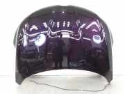 Motorhaube Sonstiger Hersteller Sonstiges Modell () 651228454R