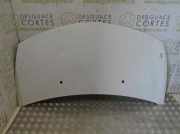 Motorhaube Renault Clio III (BR0/1, CR0/1) 7751476113