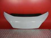 Motorhaube Fiat Ducato Kasten (250)