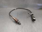 Sensor Skoda Kamiq (NW4) 04E906262GH