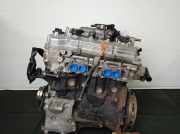 Motor ohne Anbauteile (Benzin) Nissan Primera Hatchback (P12) QG16DE