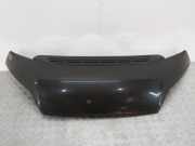 Motorhaube Citroen Jumper III Kasten () 1374204080