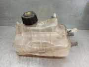 Wasserkasten für Kühler Renault Scenic III (JZ) 217100005R