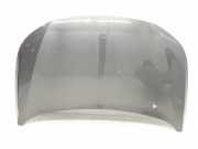 Motorhaube Sonstiger Hersteller Sonstiges Modell () 9819324980